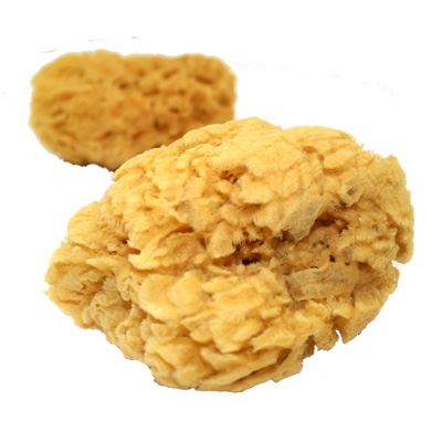 natuurspons