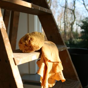 natuurspons