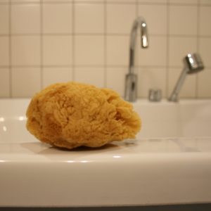 natuurspons