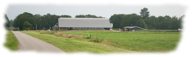 Gangbare boerderij