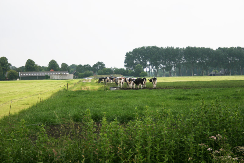 Je bekijkt nu De gangbare boerderij is niet houdbaar